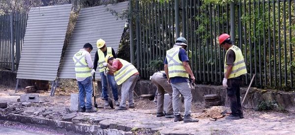 10 datos sobre el conflicto entre el MOPC y los defensores del Botánico