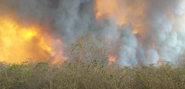 10 datos sobre la contaminación a causa de incendios que amenaza a todos