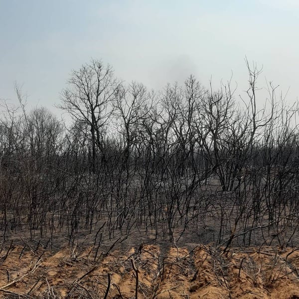 10 datos sobre “el infierno en la tierra”