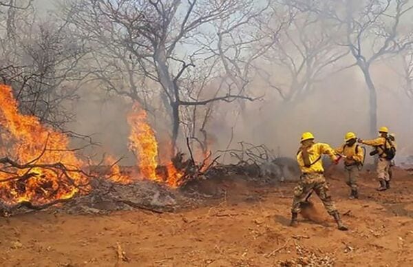 10 datos sobre la contaminación a causa de incendios que amenaza a todos