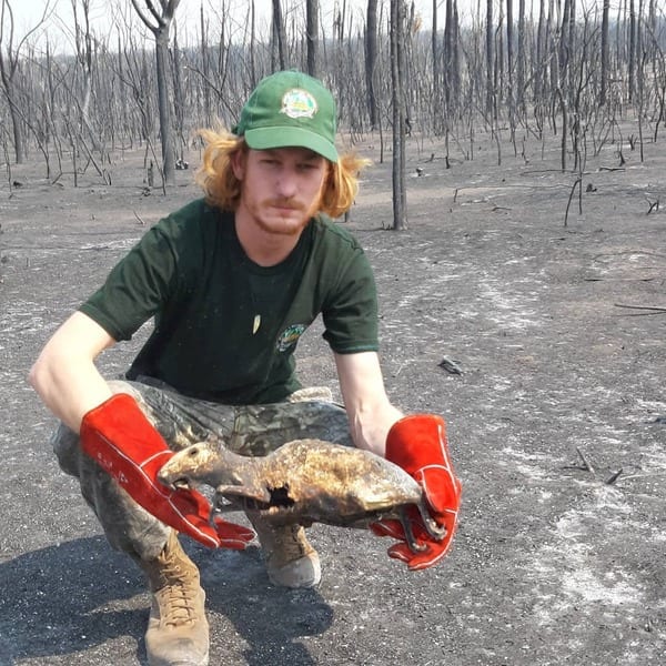 10 datos sobre “el infierno en la tierra”