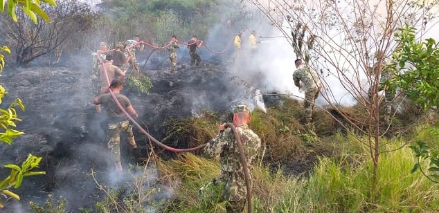 11 imágenes de la devastación en el Parque Guasu