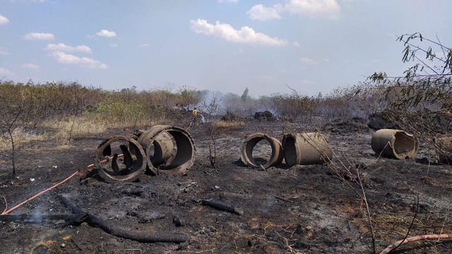 11 imágenes de la devastación en el Parque Guasu