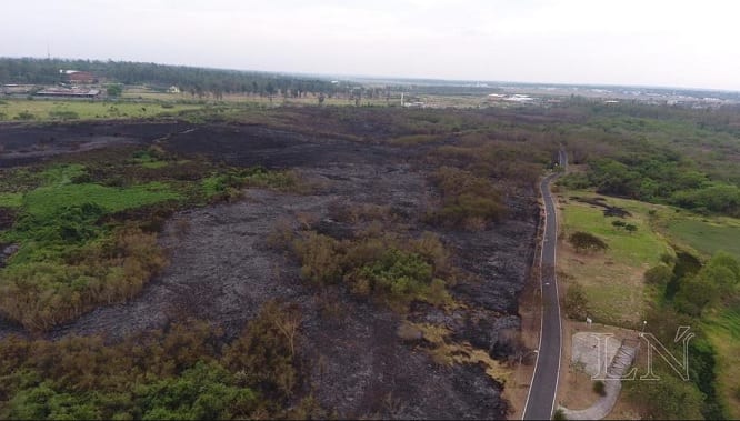 11 imágenes de la devastación en el Parque Guasu