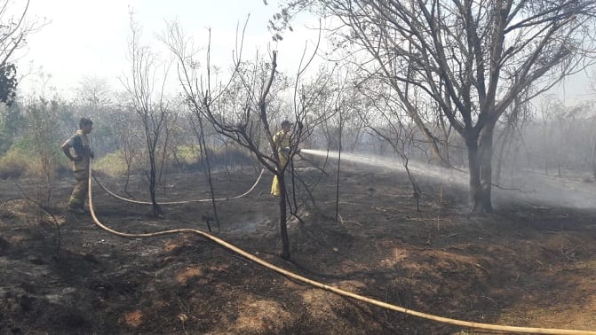 11 imágenes de la devastación en el Parque Guasu