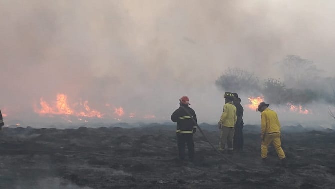 11 imágenes de la devastación en el Parque Guasu