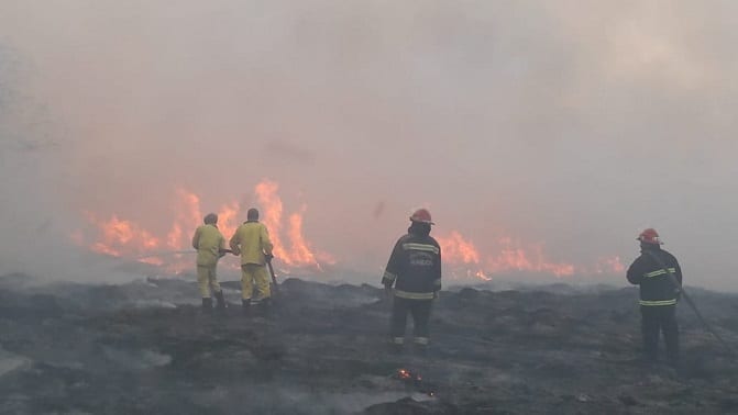 11 imágenes de la devastación en el Parque Guasu