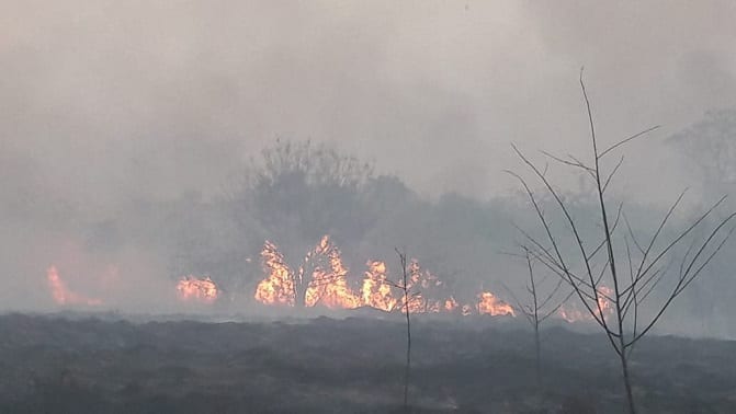 11 imágenes de la devastación en el Parque Guasu