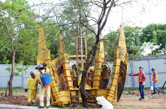 10 postales de la “mudanza” de árboles en el Botánico