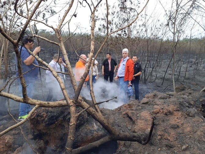 11 imágenes de la devastación en el Parque Guasu