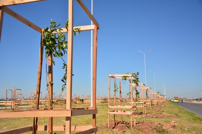 10 postales del “corredor verde” en la Costanera Norte