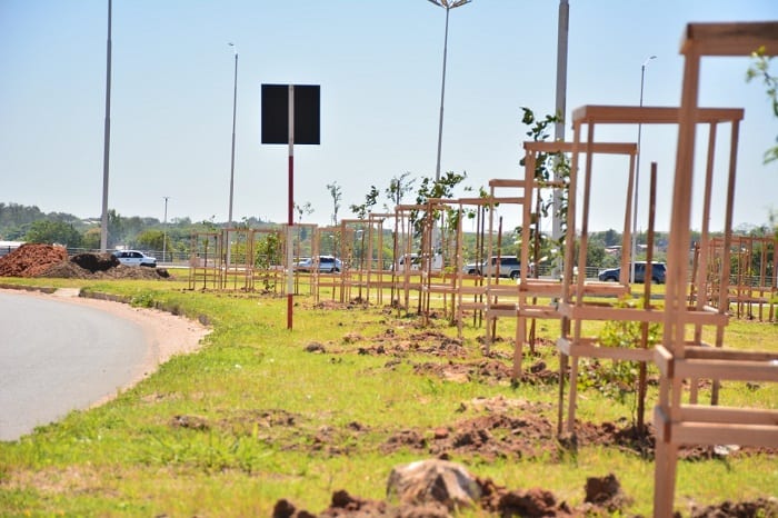 10 postales del “corredor verde” en la Costanera Norte
