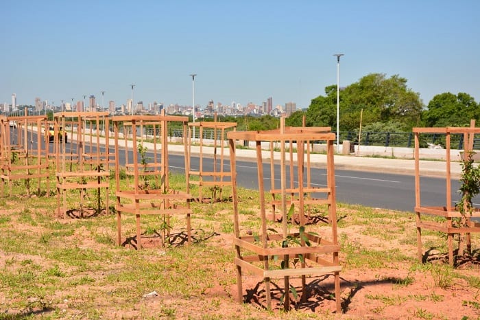10 postales del “corredor verde” en la Costanera Norte