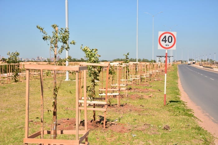 10 postales del “corredor verde” en la Costanera Norte