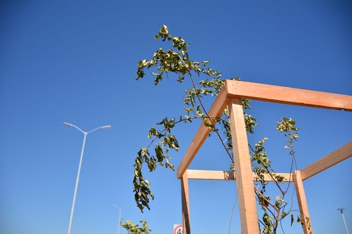 10 postales del “corredor verde” en la Costanera Norte