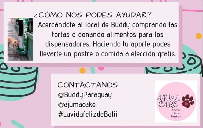 Jóvenes emprendedores venden tortas para asistir a perros sin hogar