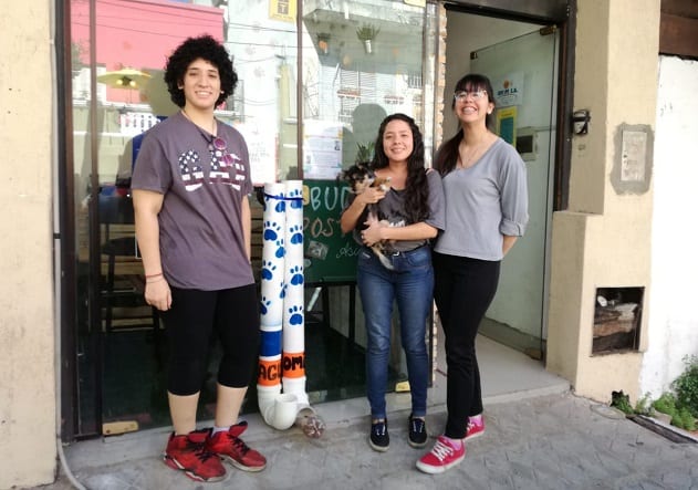 Jóvenes emprendedores venden tortas para asistir a perros sin hogar