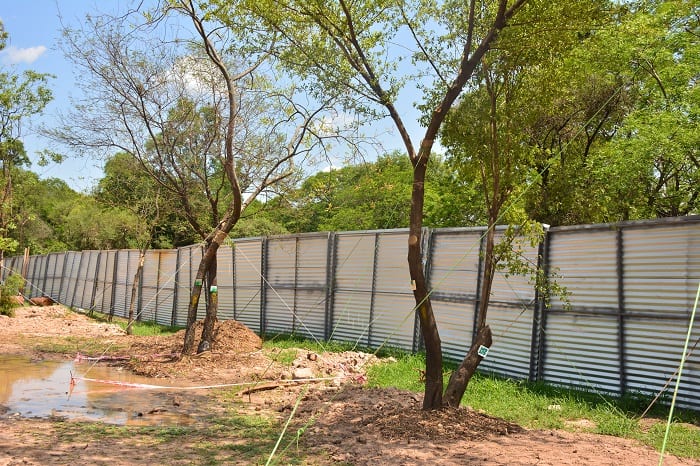 10 imágenes de cómo avanza la polémica obra del Corredor Vial Botánico