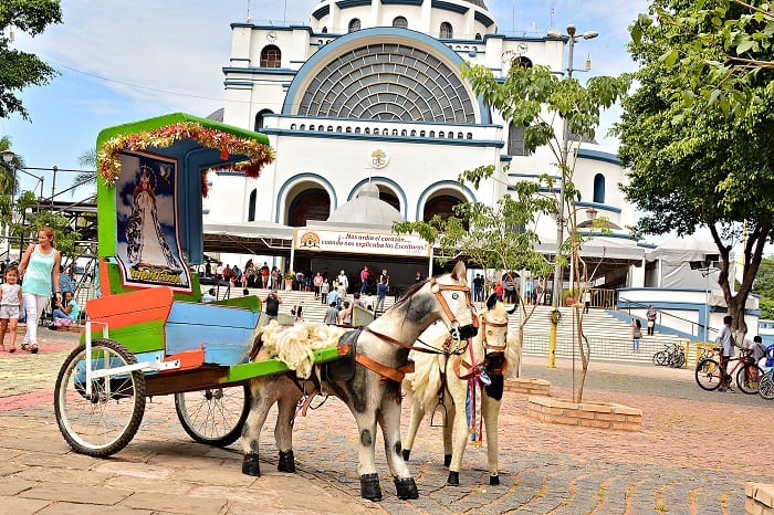 13 postales de la fiesta en honor a la Virgen de Caacupé