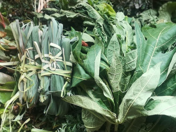 Hoja de mamón, furor de ventas en el Paseo de los Yuyos