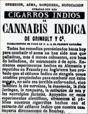 Raíces ocultas del narcotráfico en Paraguay: Un viaje al pasado