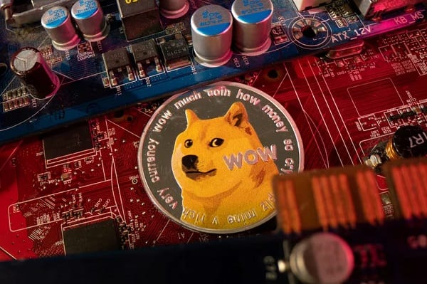 ¡Adiós Kabosu! Fallece la perra que inspiró el meme Doge y la criptomoneda Dogecoin