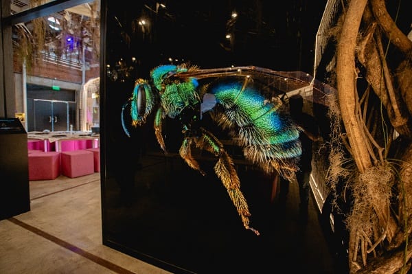 Museo de Ciencias se prepara para recibir al invierno