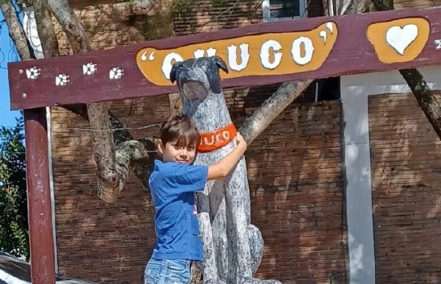 Chuco, el perro de Humaitá que inspira con su historia