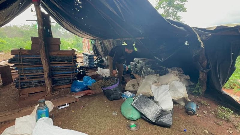 Operativo Cerrojo: Narco-campamento desmantelado en Canindeyú