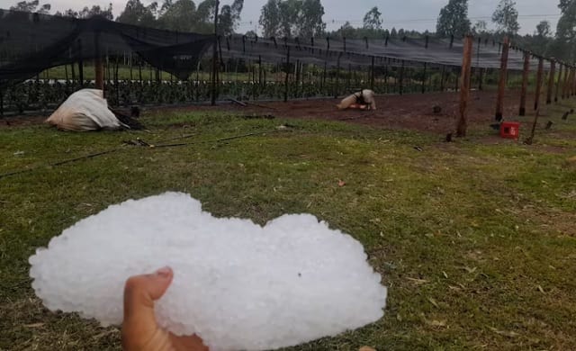 Temporal causa graves daños a productores en Santa Rosa, Misiones