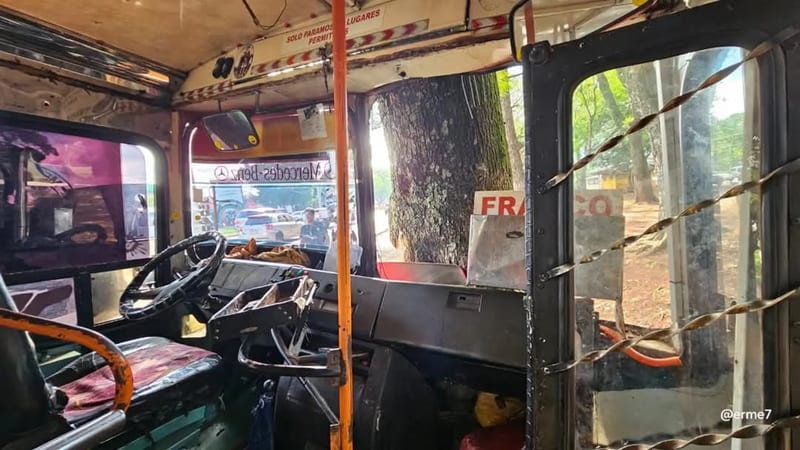 Colectivo perdió los frenos y chocó contra un árbol en Ciudad del Este: hay ocho heridos