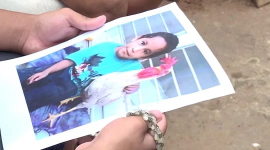 Un gallo para el Papa: la tierna historia de Ángel y su regalo