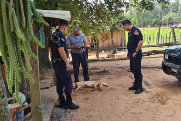 Imagen de la cobertura: Matan de un disparo a un perro y buscan al autor