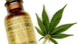 Aceite de Cannabis /Ilustración