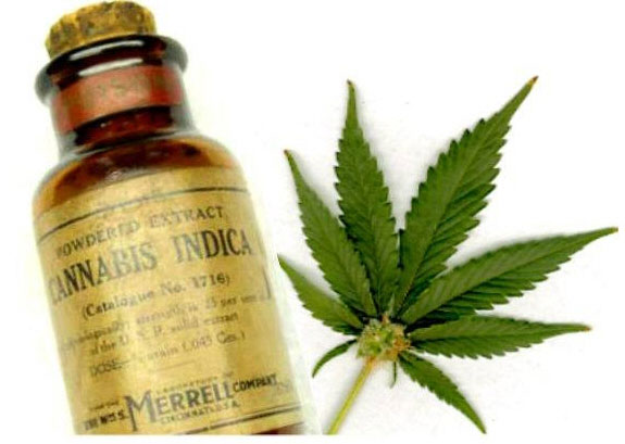 Salud autoriza el aceite de cannabis