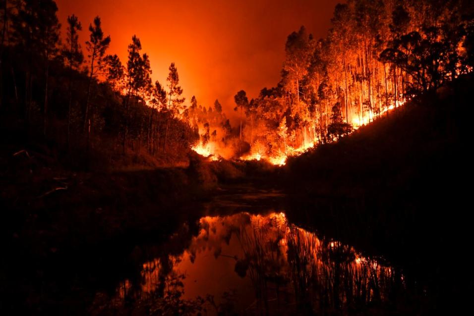 Decenas de fallecidos en incendio forestal en Portugal