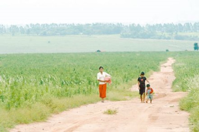 Población indígena sufre por fumigación de sojales