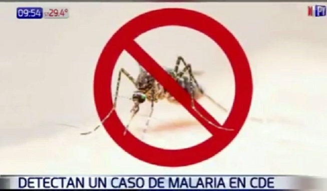Revelan caso de malaria en Ciudad del Este