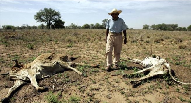 Chaco: Aumenta desasosiego por la escasez del agua