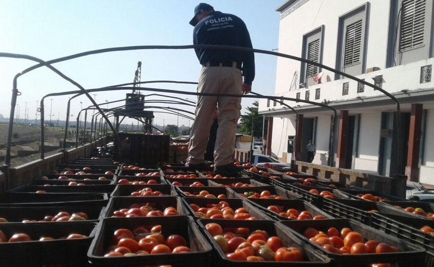 Incautan millonario cargamento de tomate