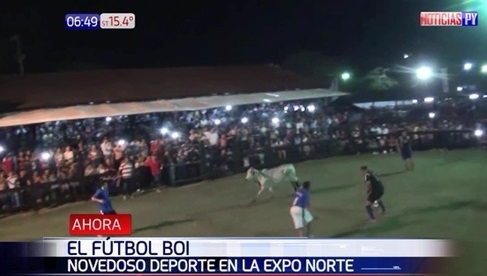 Expo Norte llama la atención con “Fútbol boi”