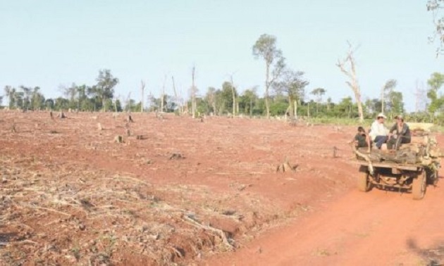 Exigen al Ejecutivo derogar ley que permite deforestación