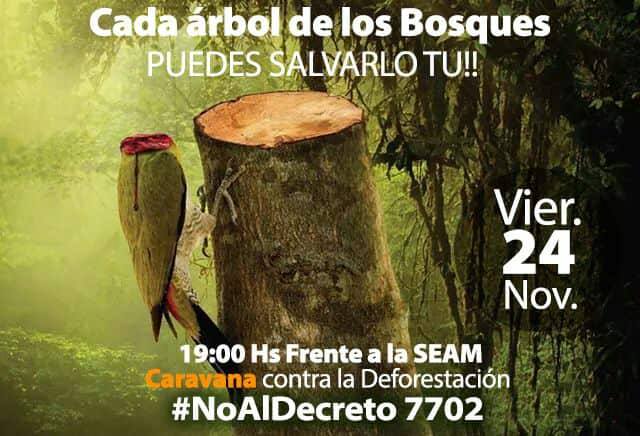Este viernes marchan contra decreto de Cartes y la deforestación