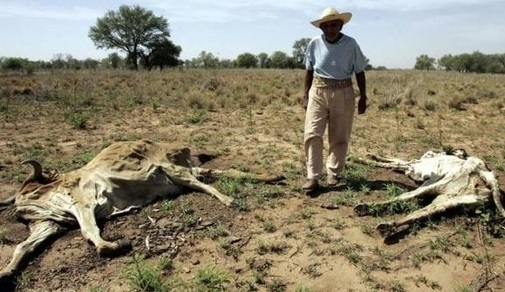 Alarmante sequía en el Chaco
