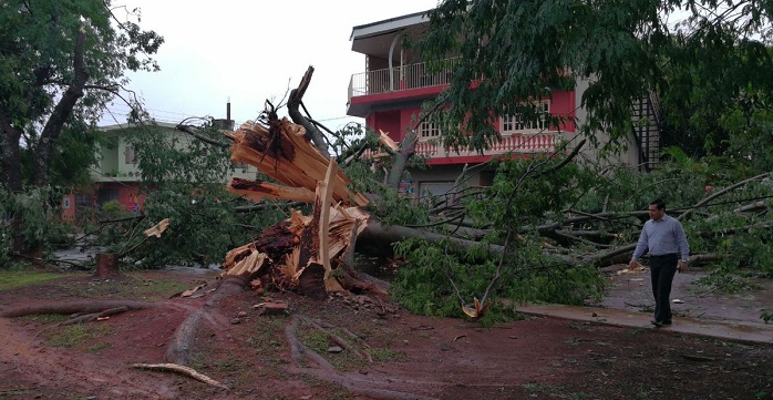 Temporal causa innumerables daños en Alto Paraná