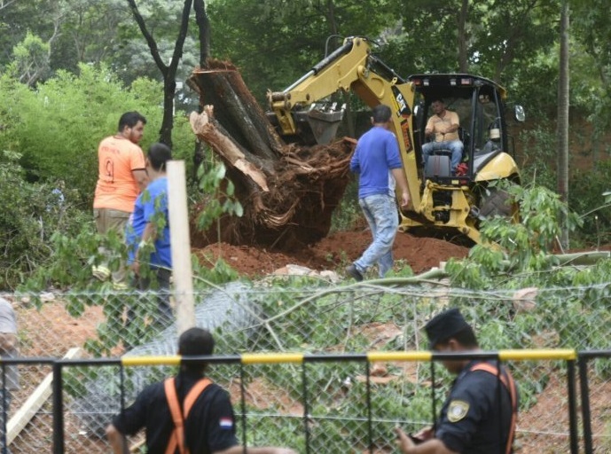 Denuncian tala de árboles en Parque Pavetti