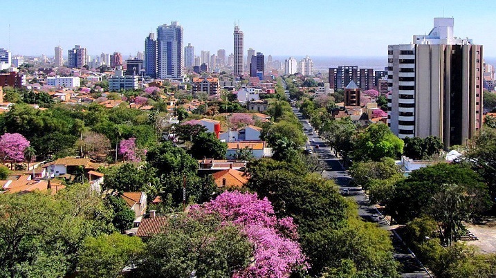Derribarán centenares de árboles por obras del metrobús en Asunción
