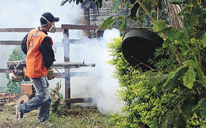 Senado declara emergencia por dengue