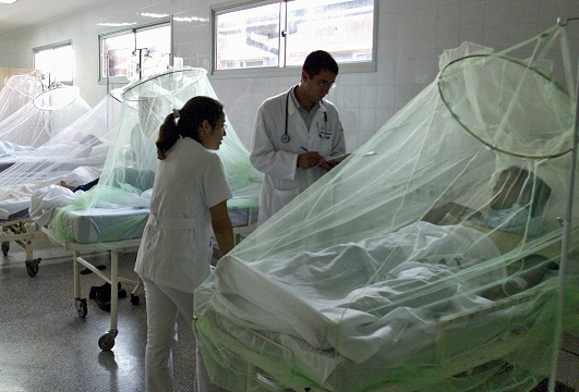Seguros privados no cubren a enfermos por dengue