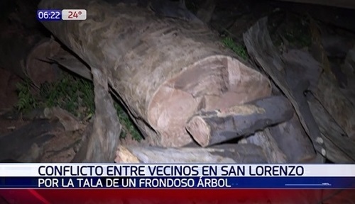 Sanlorenzanos se manifiestan y denuncian tala de añoso árbol
